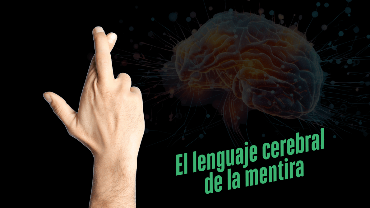 Cómo funciona el cerebro de un&nbsp;mentiroso